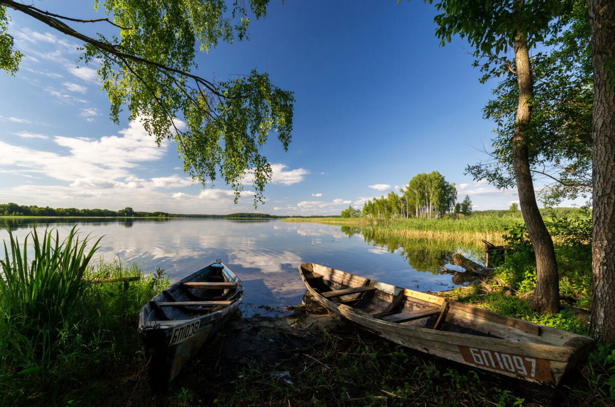 Неделя родной природы стартует в Беларуси