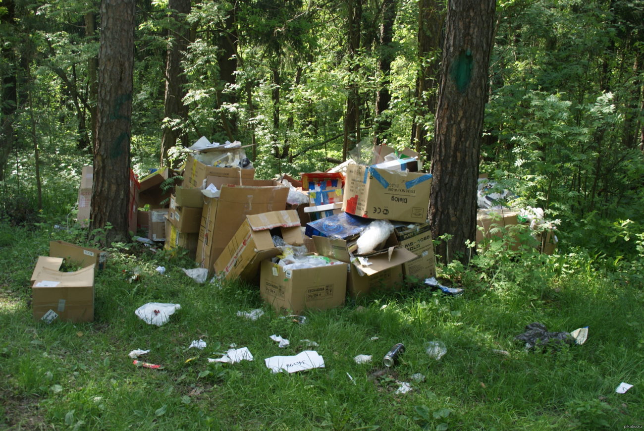 Более 4,5 тысячи гектаров лесов очистили от мусора в Беларуси с начала года