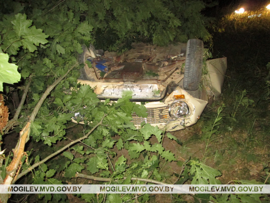 В Бобруйском районе «жигули» вылетели в кювет и опрокинулись: водитель погиб