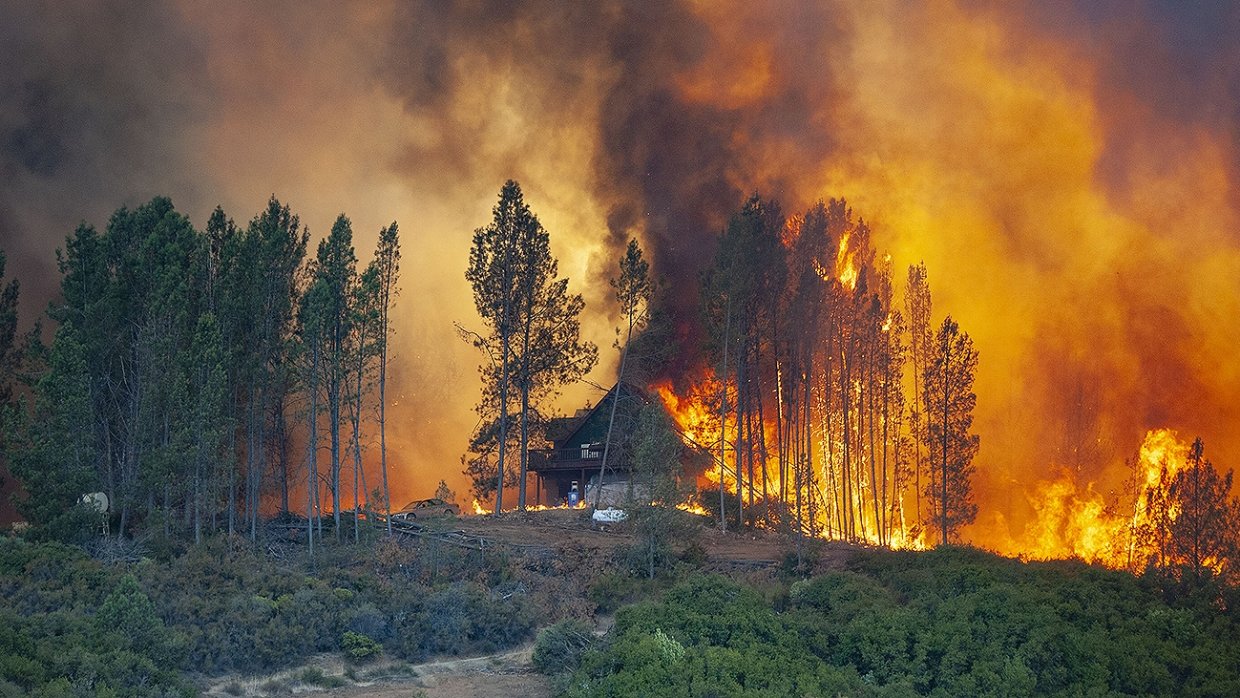 С начала года в лесах произошло 428 лесных пожаров