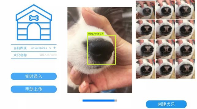 Китайское приложение найдет собаку по «отпечаткам» носа