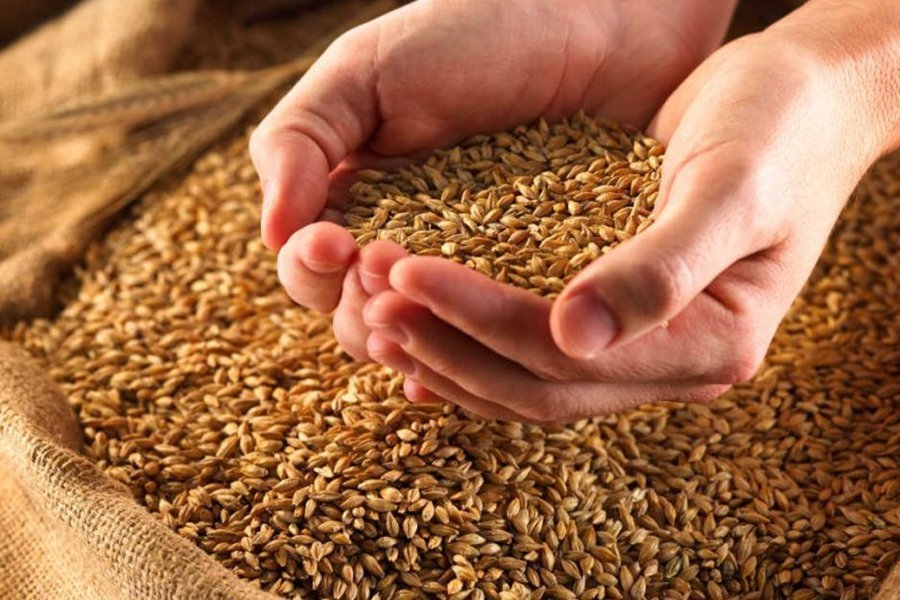 Белорусские аграрии намолотили более 4,5 млн тонн зерна