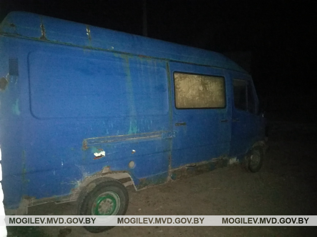 В Бобруйском районе раскрыта кража телят с фермы