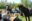 Спортивный праздник «Конная фиеста-2019» пройдет в Бобруйском районе