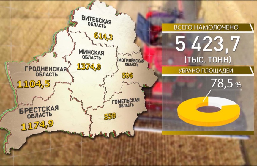Уборочная-2019: аграрии собрали почти 5,5 млн тонн зерна
