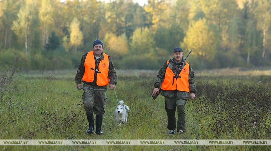 В Беларуси открылся сезон охоты на пушных животных