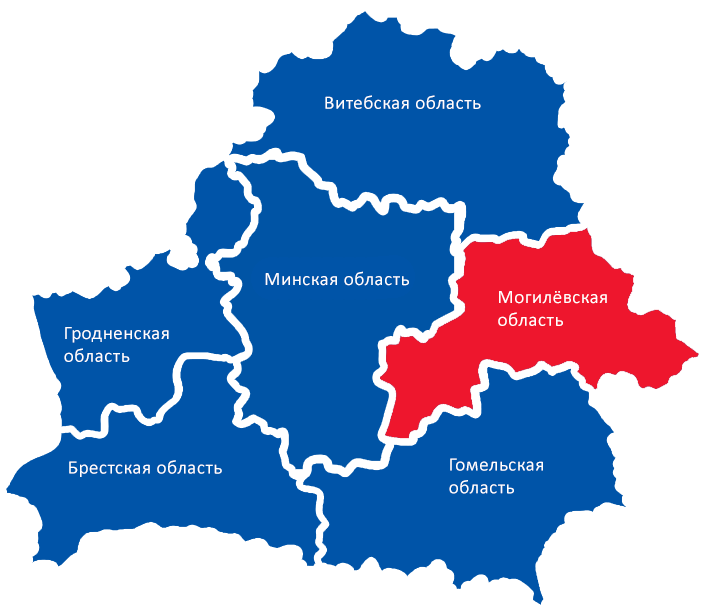 Предварительная явка избирателей на парламентских выборах в Могилевской области составила 82,3%