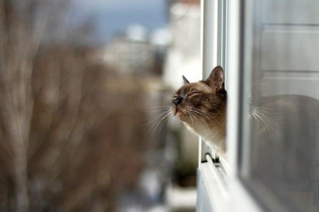 До +10°С ожидается в Беларуси 21 декабря