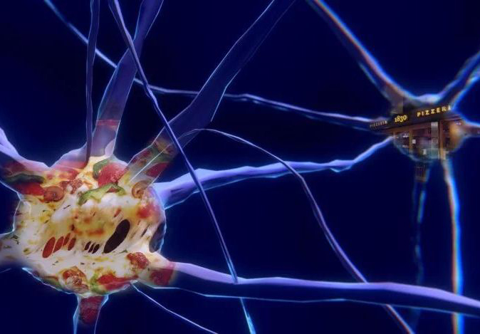 Впервые созданы искусственные нейроны, пригодные для трансплантации