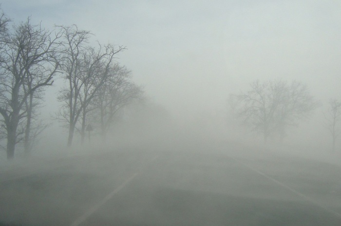 Туман и гололедицу прогнозируют в Беларуси 12 января