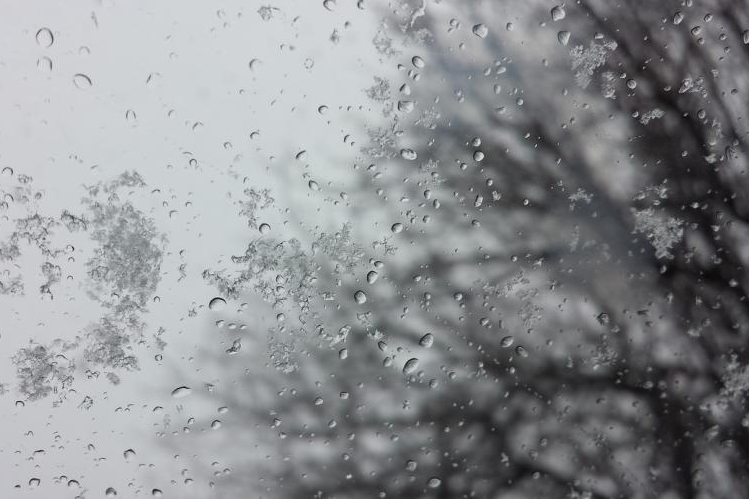 Мокрый снег и до +4°С ожидается в Беларуси 29 января