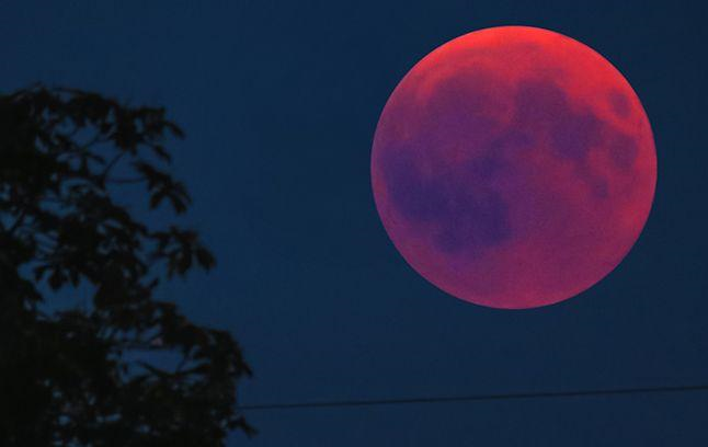 Затмение Луны смогут наблюдать жители Беларуси 10 января