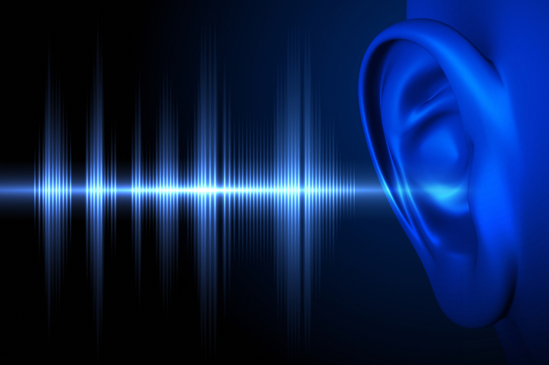 Бобруйчан приглашают на информационную встречу «Не подвергайте свой слух опасности!»