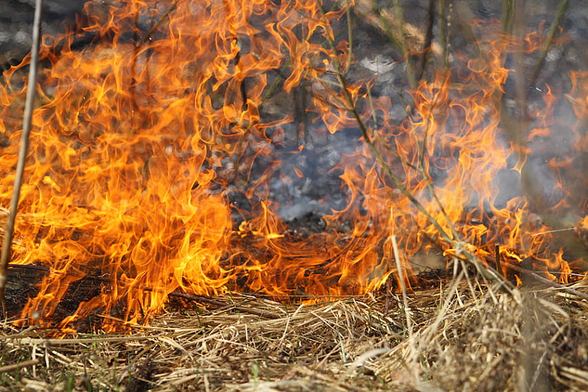 МЧС напоминает: будьте осторожны при сжигании травы и мусора
