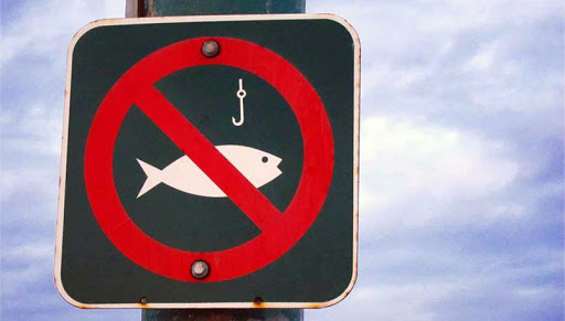 Запрет на лов рыбы начнет действовать в Могилевской области с 22 марта