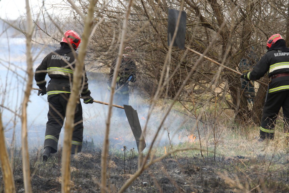 Бобруйские спасатели устраняют палы травы
