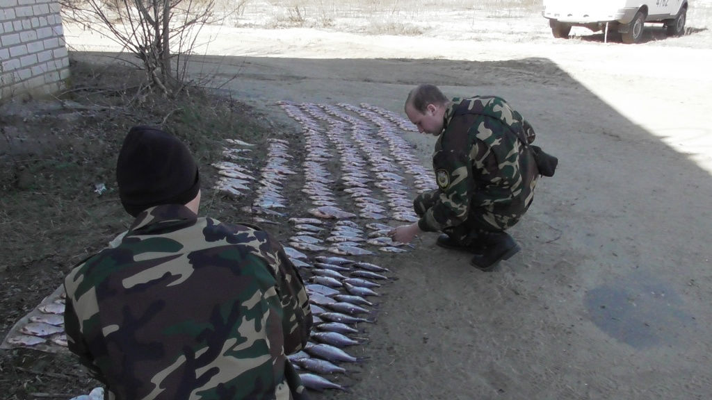 Запрет на лов рыбы действует уже по всей Беларуси – браконьеры платят втрое дороже