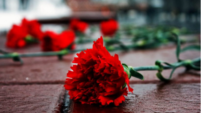 Минприроды призывает отказаться от пластиковых цветов на кладбищах