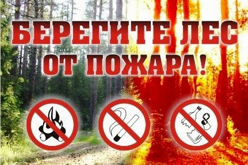 Бобруйчане, берегите лес от пожара