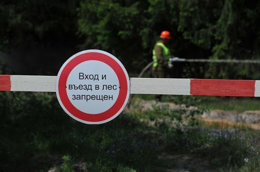 Запрет на посещение лесов вводится в Могилевском районе