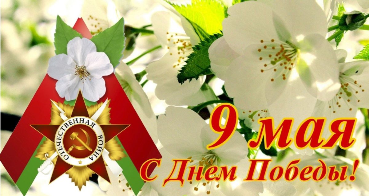 Жители Могилевской области смогут бесплатно отправить около 1 тыс. поздравительных карточек к 9 Мая