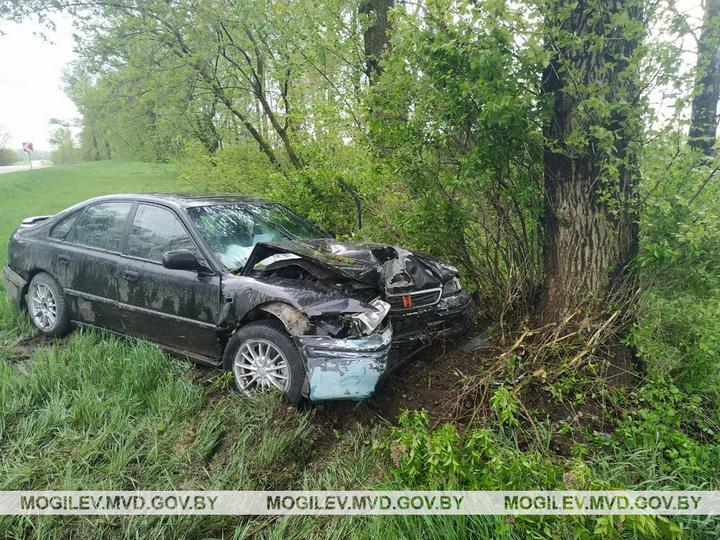 Водитель Honda в Бобруйском районе съехал в кювет и врезался в дерево – трое пострадавших
