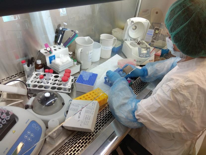 Экспресс-тесты на антитела к COVID-19 начали делать всем желающим на платной основе в центральной поликлинике Могилева