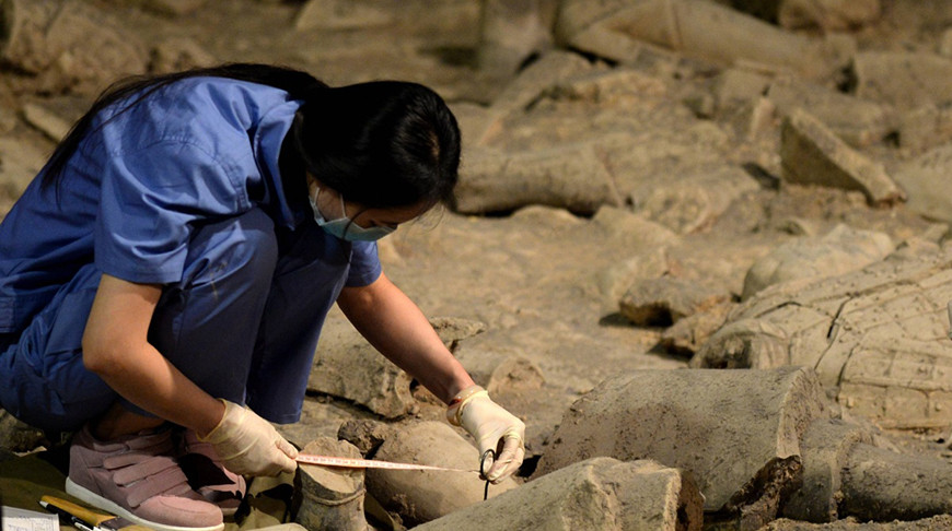 Древнейшую в Восточной Азии статуэтку обнаружили в Китае