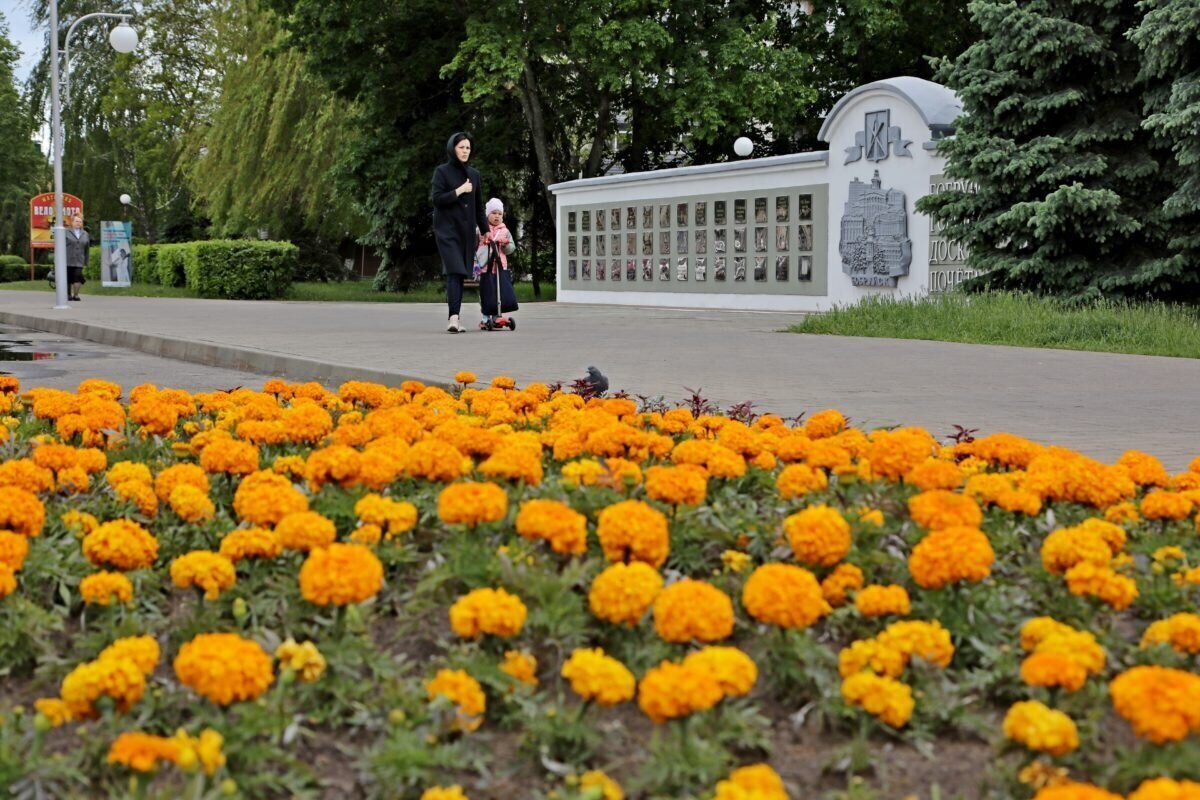 Любимый город. Посмотрите, как он хорош! (фоторепортаж)