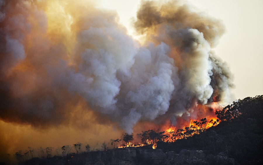 67 лесных пожаров произошло в Могилевской области с начала года