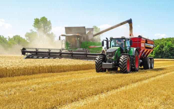 Уборка зерновых в Беларуси может быть завершена за 22 погожих дня