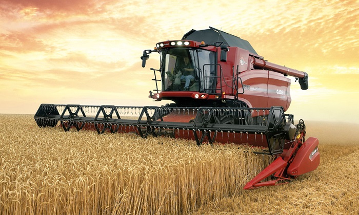 В Беларуси намолотили 6,5 млн т зерна
