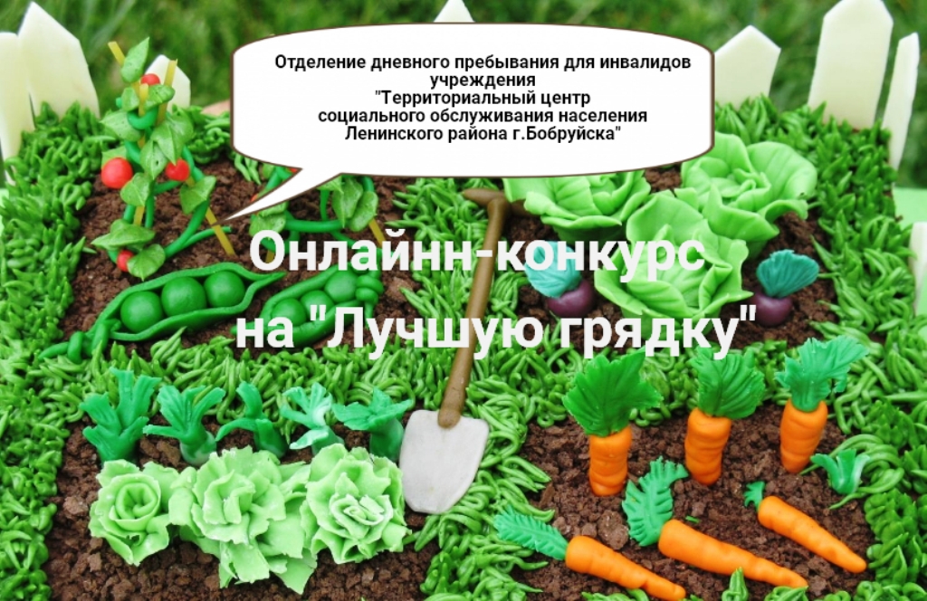 В Бобруйске прошел онлайн-конкурс на «Лучшую грядку» среди людей с инвалидностью