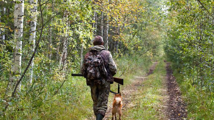 В Беларуси 1 октября открывается сезон загонной охоты на копытных