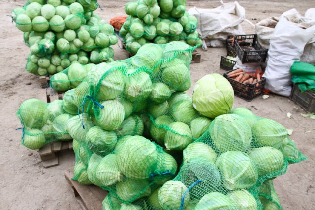 В стабфонд Могилевской области планируют заложить 3,7 тыс. тонн картофеля и более 1,8 тыс. тонн капусты
