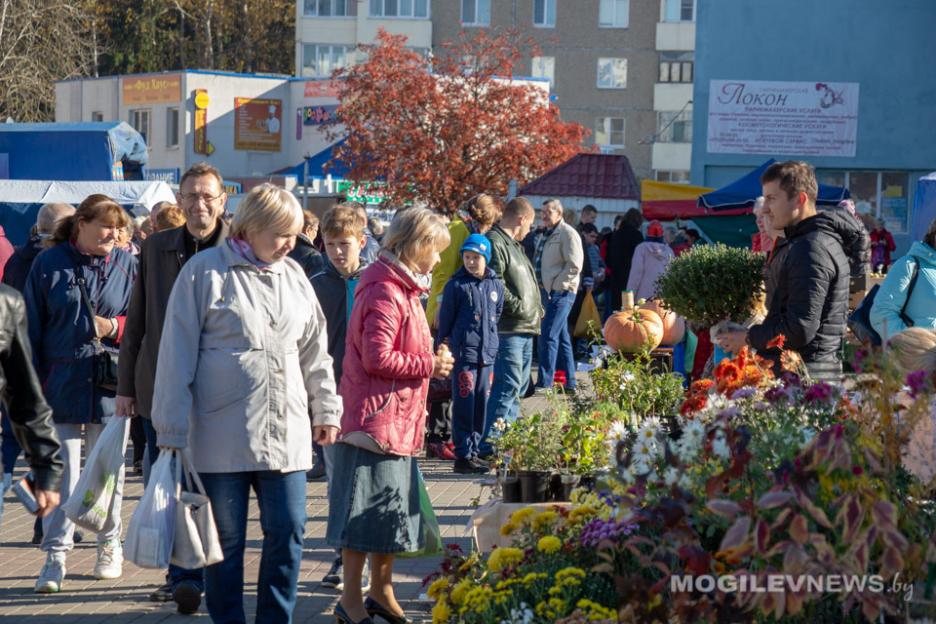 Осенние сельхозярмарки в Могилевской области будут проходить до середины ноября (график)