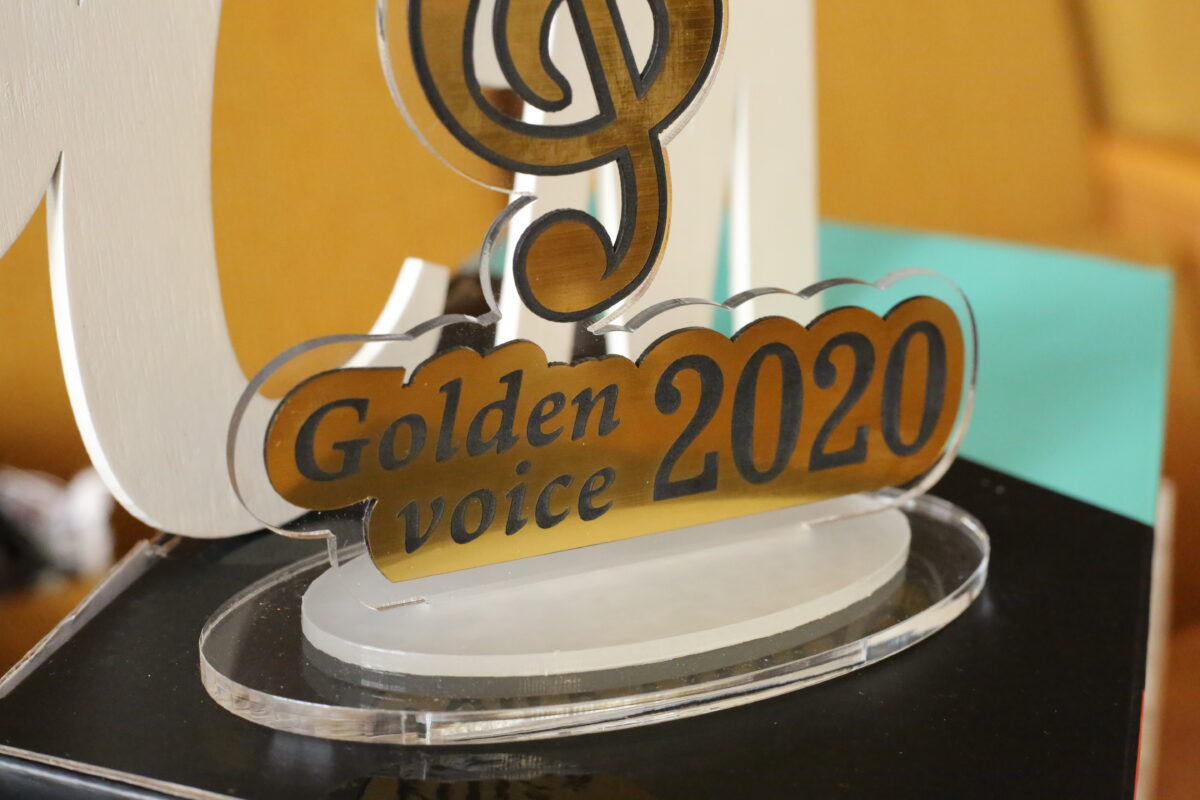 Кто стал победителем конкурса «Golden Voice-2020», прошедшего в Бобруйске?