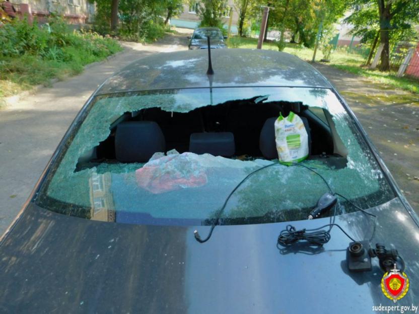 Подозреваемого в повреждении 12 автомобилей задержали в Бобруйске