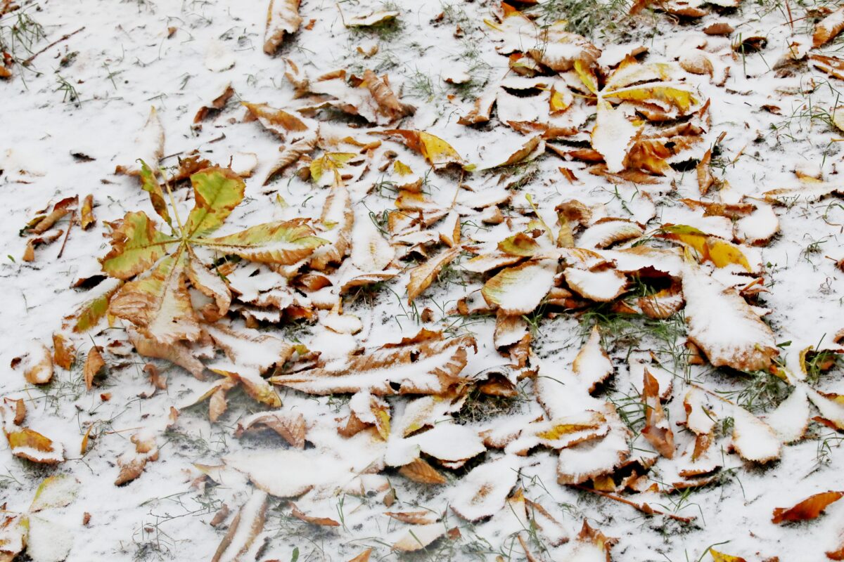 Мокрый снег и до -6°С ожидается в Беларуси 30 ноября