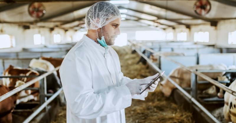 В Беларуси тестируют систему управления молочной фермой на основе интернета вещей