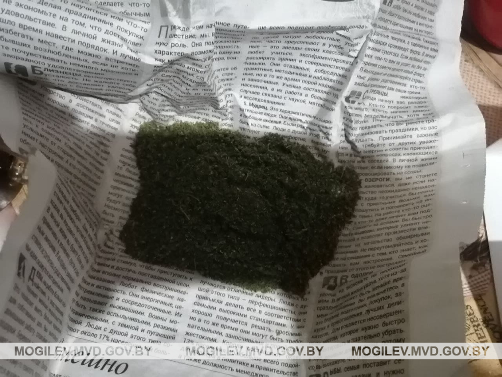 Бобруйчанин хранил 700 грамм марихуаны в своем сарае
