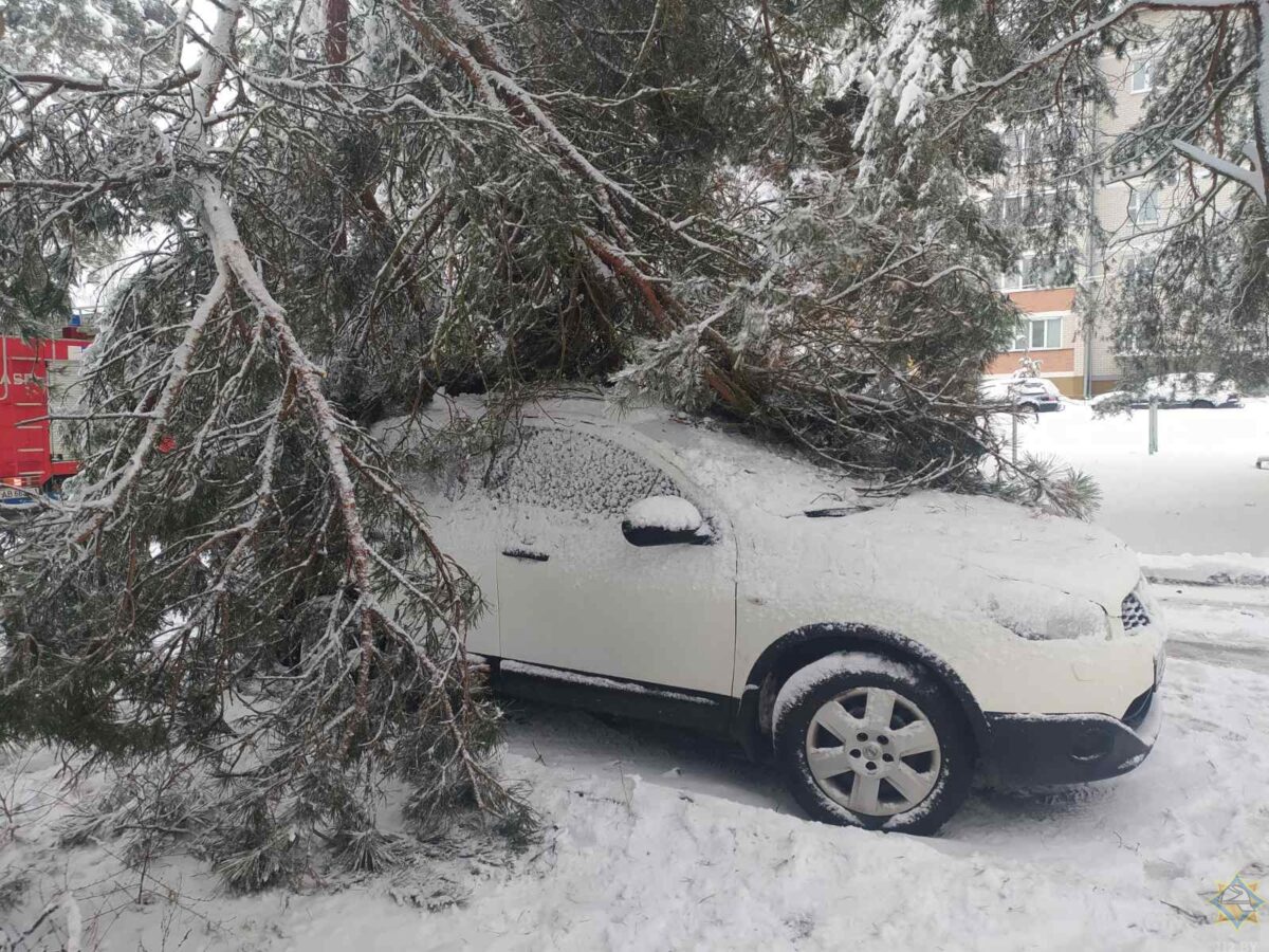 Последствия непогоды 26 января: снежные заносы, упавшие деревья, подтопления