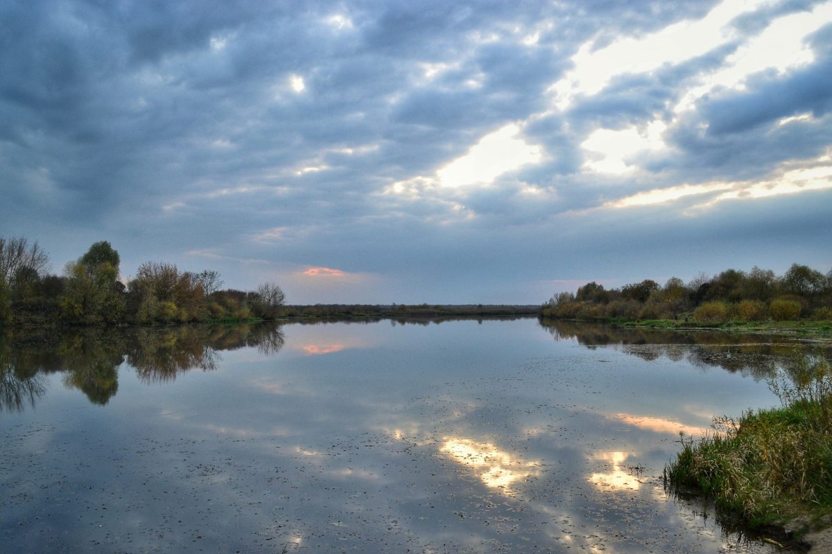 Природоохранные территории занимают более 20% площади Беларуси