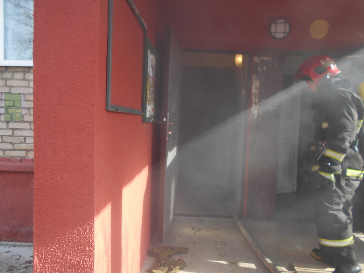 Новости бобруйска, фото