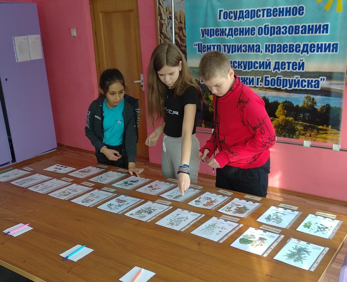 В Центре туризма, краеведения и экскурсий детей и молодежи состоялись доврачебные сборы юных походников