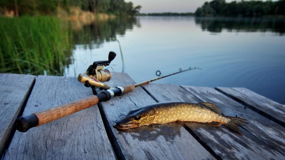 Ограничения на лов рыбы будут действовать с 1 апреля в Могилевской области