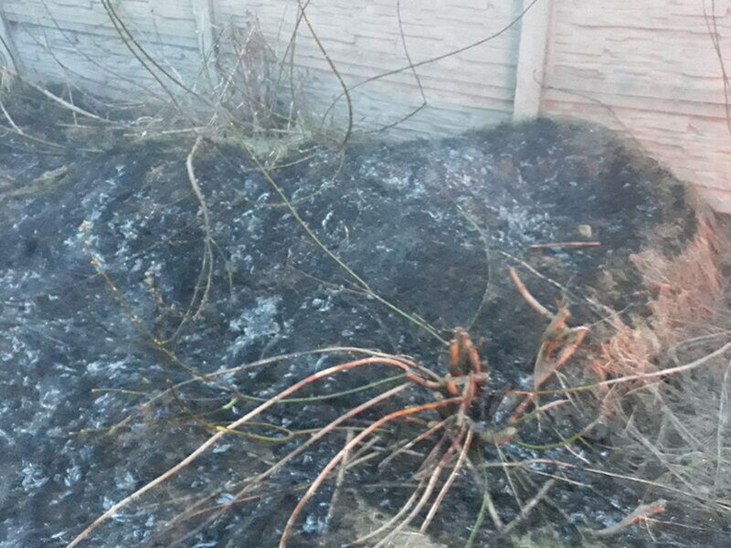 Новости бобруйска, фото