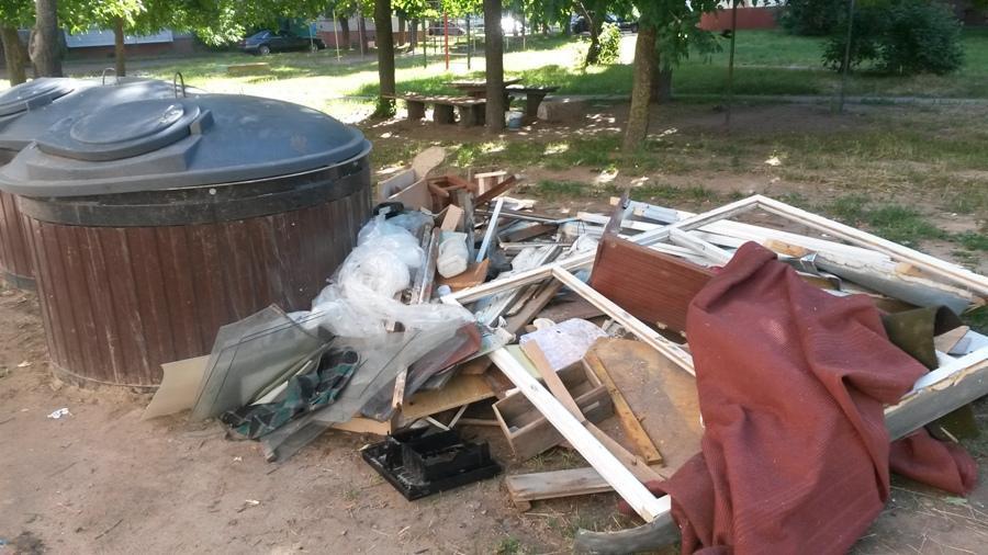 35 несанкционированных свалок ликвидировано за неделю в Могилевской области