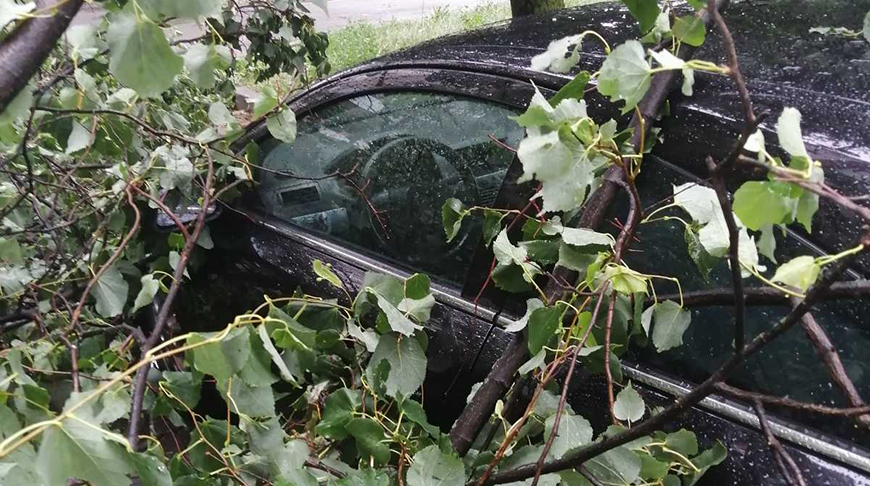 В Бобруйске из-за прохождения грозового фронта повреждены 12 автомобилей
