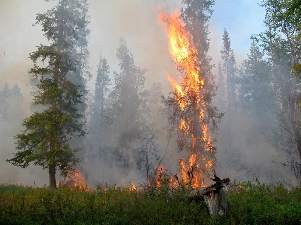 Более 530 пожаров произошло в Могилевской области с начала года